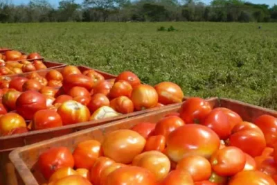 El origen de lo que comemos: una tendencia que crece