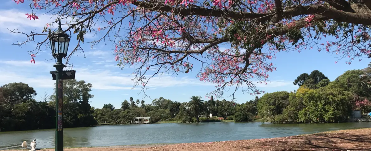Senderos y arboleda del Parque Tres de Febrero en Palermo